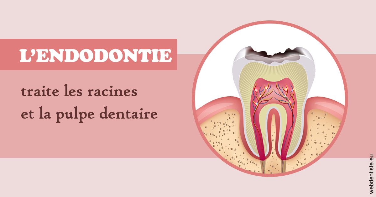 https://selarl-souffle-d-art-dentaire.chirurgiens-dentistes.fr/L'endodontie 2