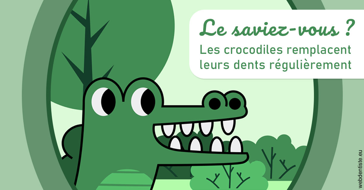 https://selarl-souffle-d-art-dentaire.chirurgiens-dentistes.fr/Crocodiles 2