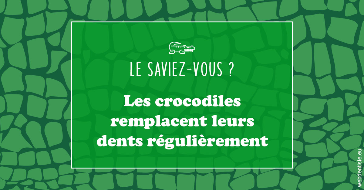 https://selarl-souffle-d-art-dentaire.chirurgiens-dentistes.fr/Crocodiles 1